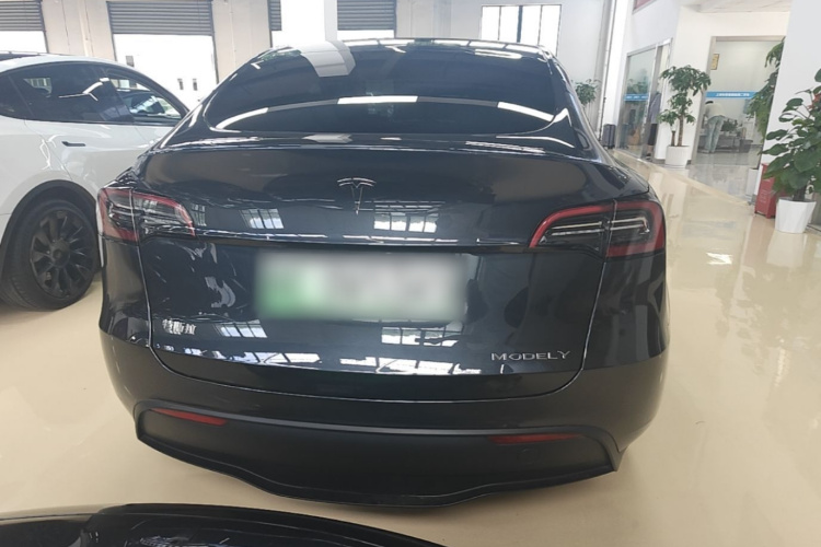 Tesla Model Y 2024 car image #6