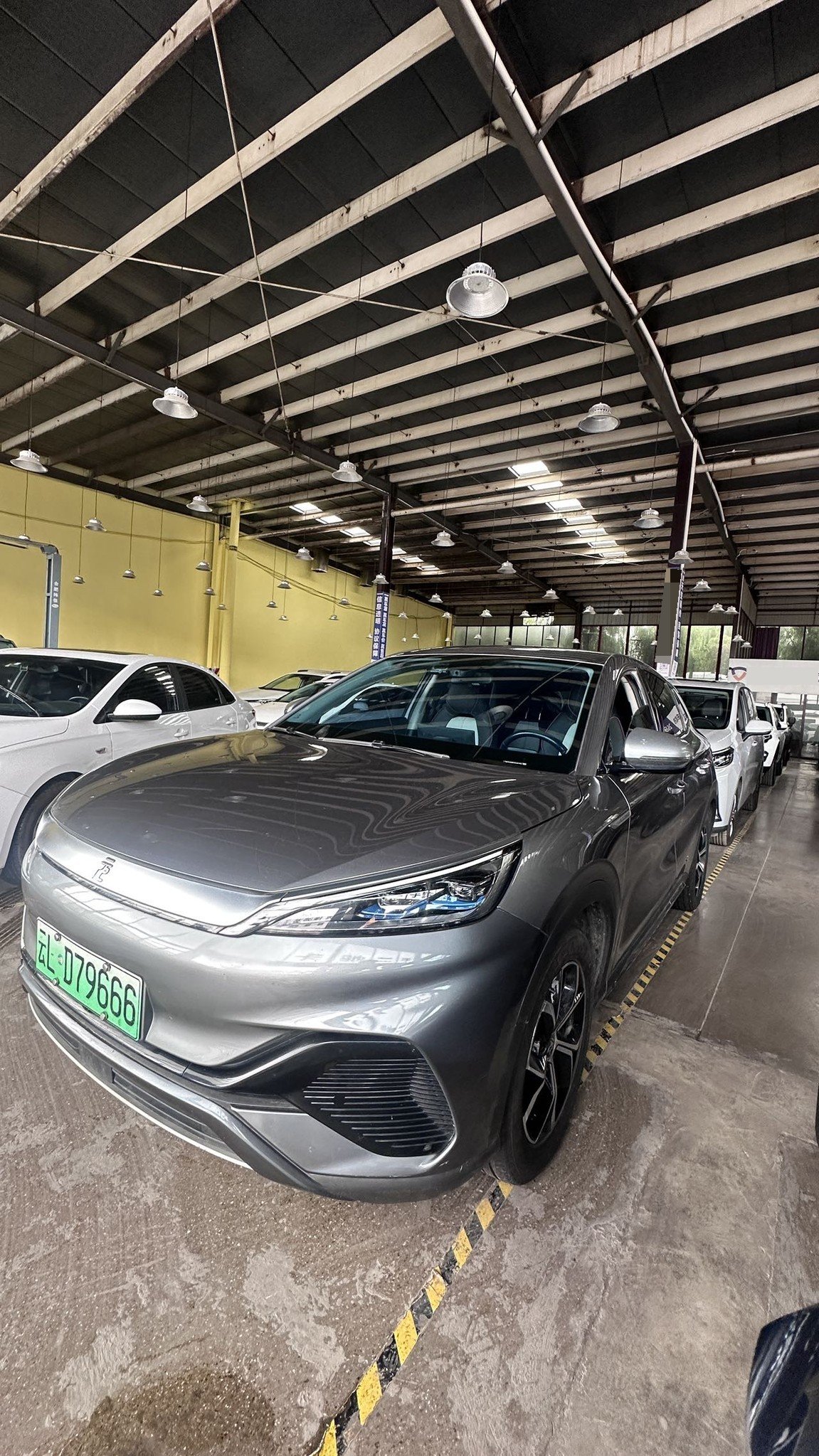 BYD Yuan Plus 2023 car image 