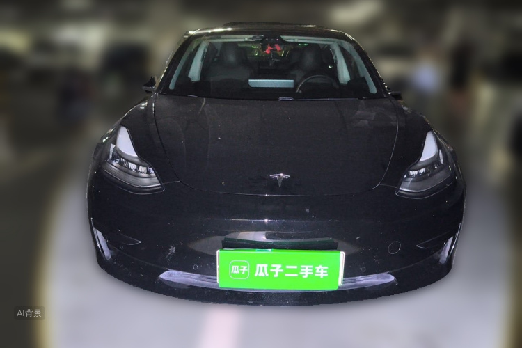 Tesla Model 3 2020 #3 Tesla Model 3 2020 car image #3