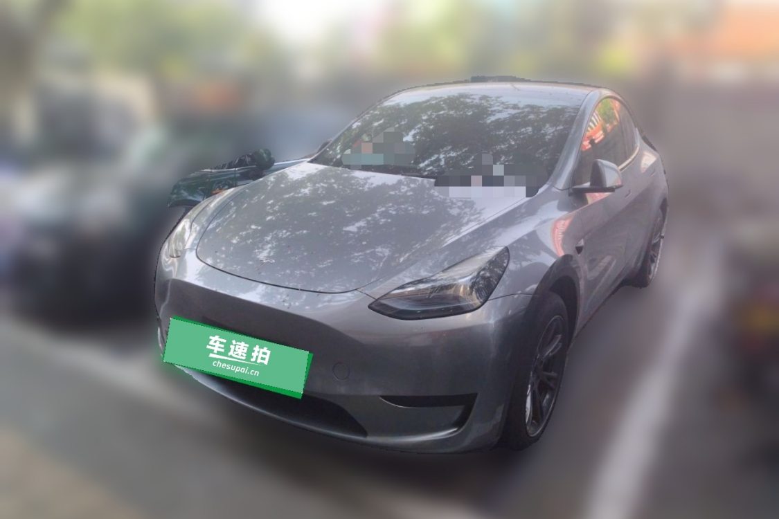 Tesla Model Y 2024 car image 