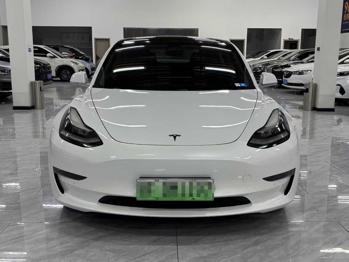 Tesla Model 3 (Imported) 2020 car image #2