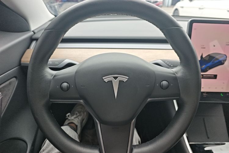 Tesla Model 3 2020 car image #11