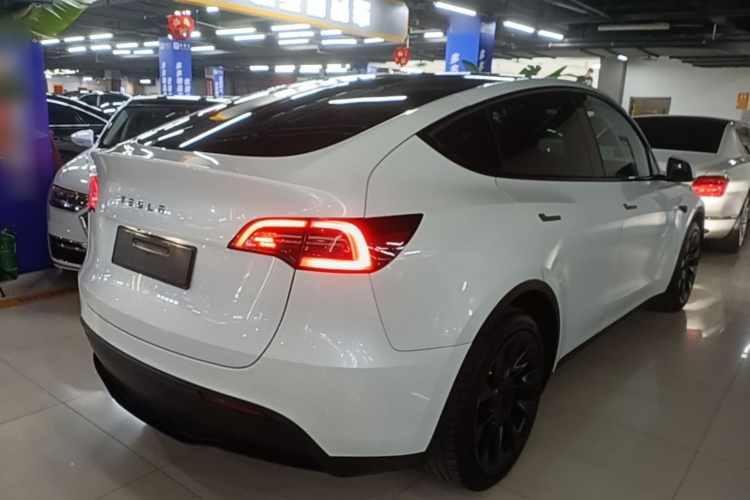 Tesla Model Y 2021 #7 Tesla Model Y 2021 car image #7