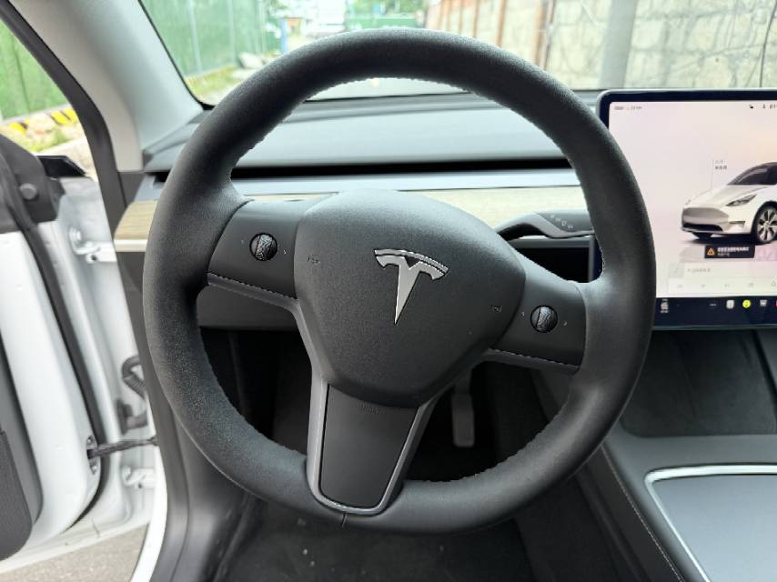 Tesla Model Y 2022 car image #6