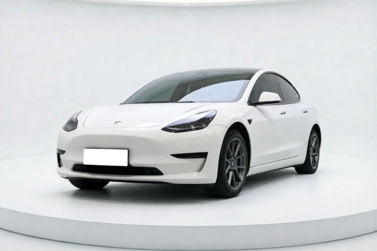 Tesla Model 3 2023 #2 Tesla Model 3 2023 car image #2