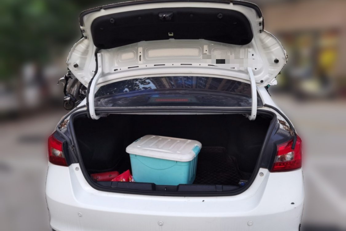 Chery Arrizo 5 2016 car image #8