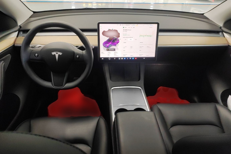Tesla Model Y 2023 car image #10