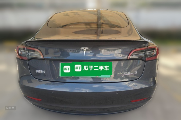 Tesla Model 3 2021 car image #6
