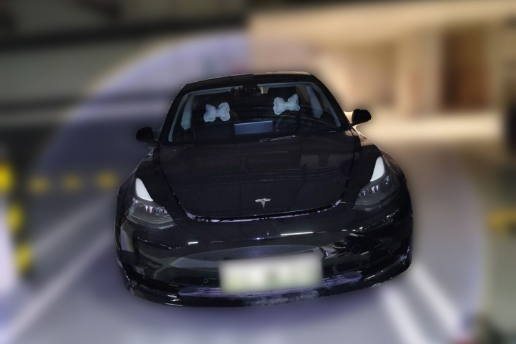 Tesla Model 3 2021 #3 Tesla Model 3 2021 immagine di auto #3