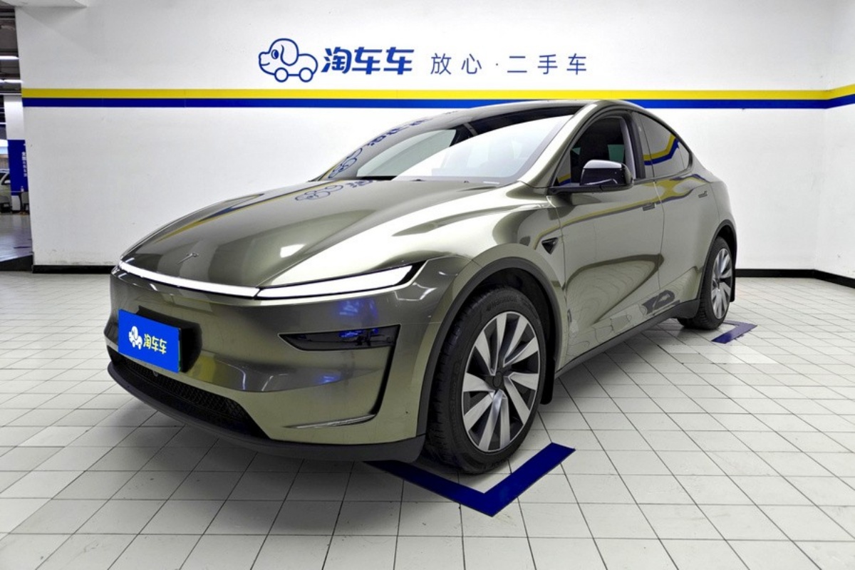 Tesla Model Y 2025 car image 