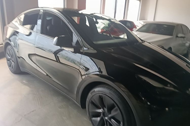 Tesla Model Y 2021 car image #4