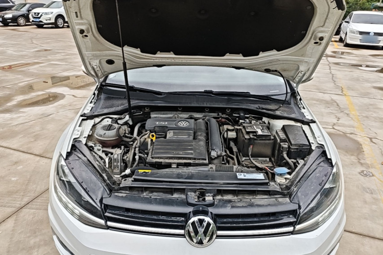 Volkswagen Golf 2019 #20 Volkswagen Golf 2019 car image #20