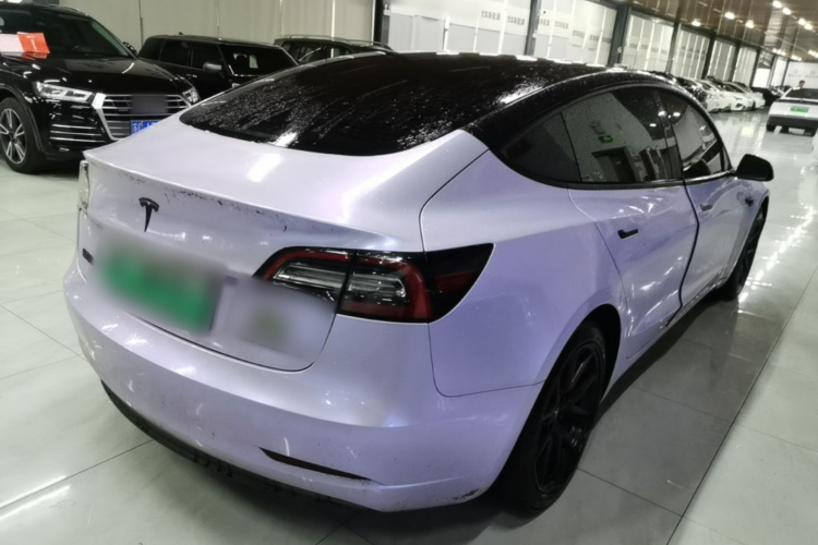 Tesla Model 3 2021 immagine di auto #7