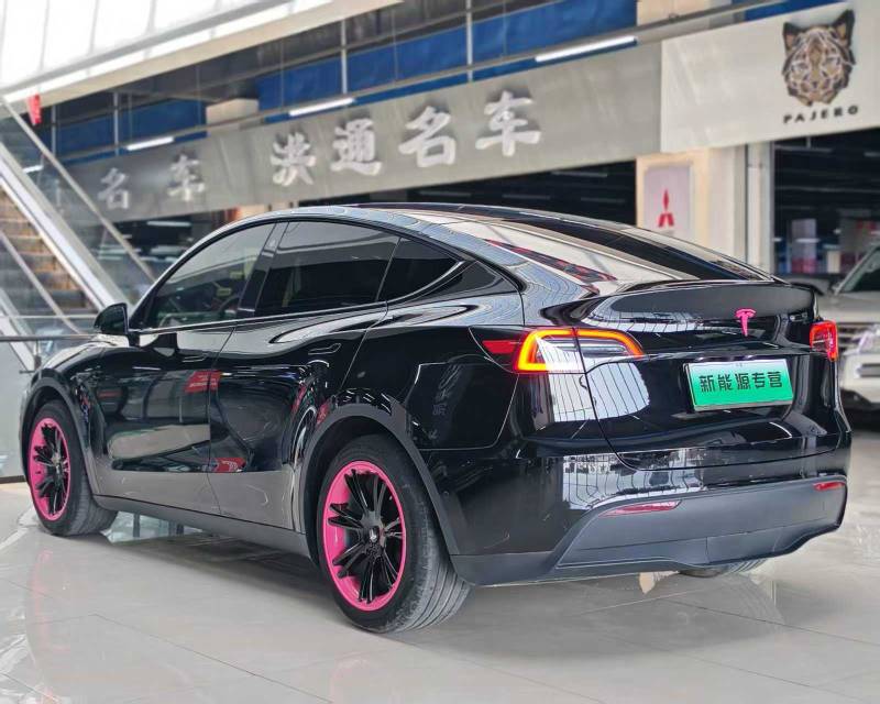 Tesla Model Y 2023 car image #5