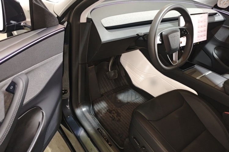 Tesla Model Y 2025 #16 Tesla Model Y 2025 immagine di auto #16
