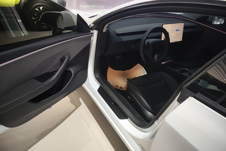 Tesla Model 3 2024 #16 Tesla Model 3 2024 car image #16
