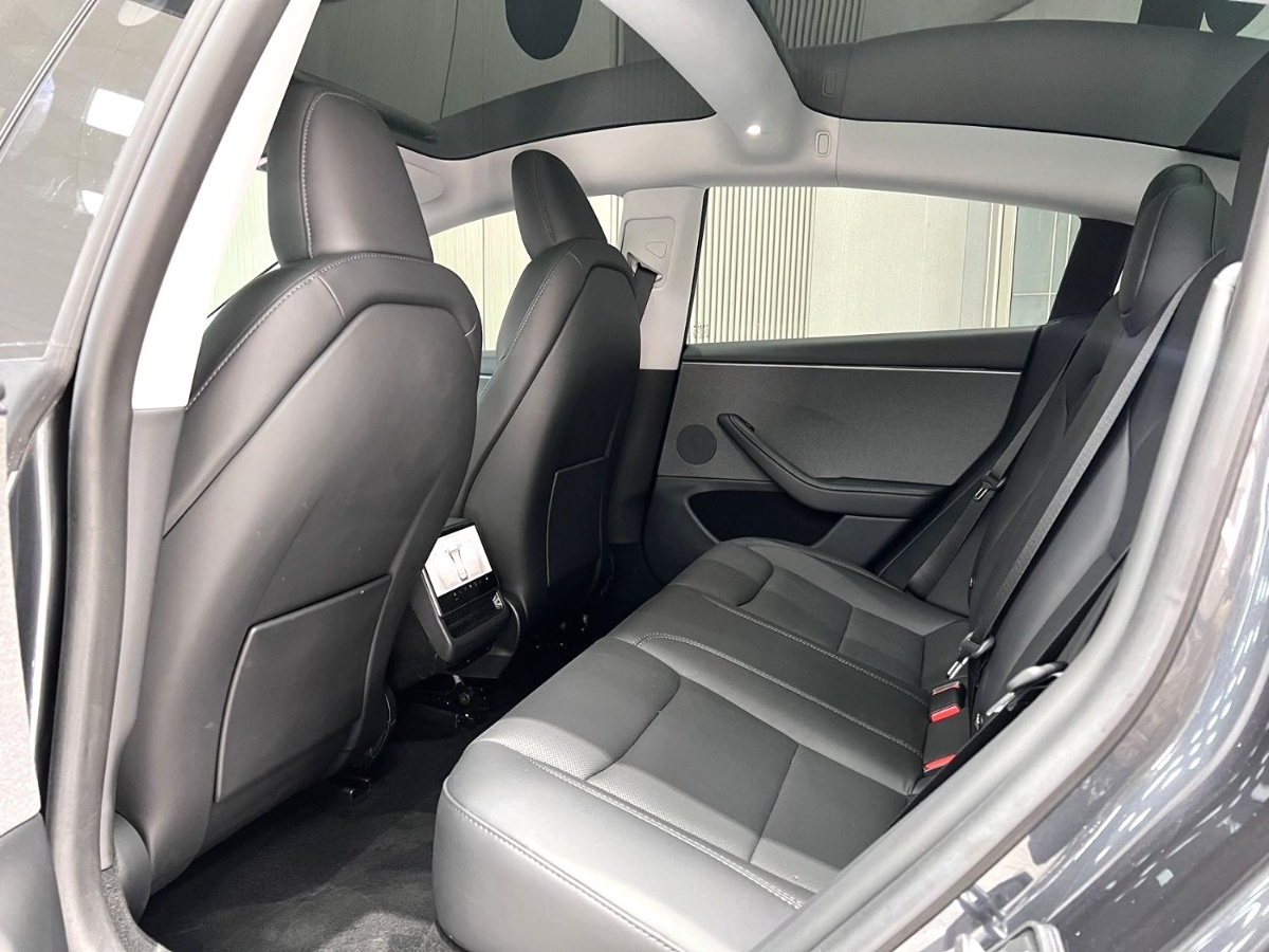 Tesla Model 3 2025 car image #4