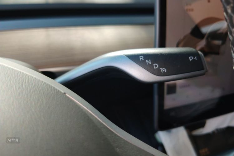 Tesla Model Y 2023 car image #16
