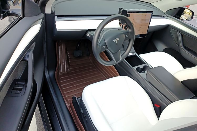 Tesla Model Y 2021 car image #16