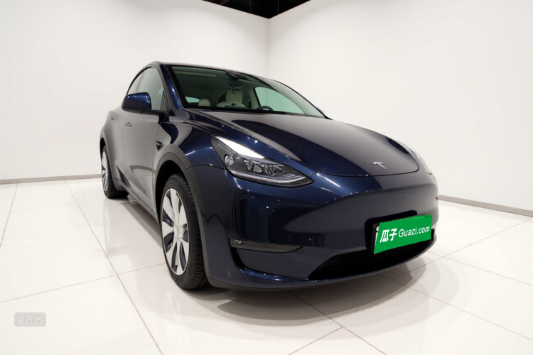 Tesla Model Y 2021 car image #4