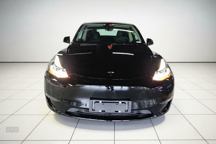 Tesla Model Y 2021 car image #3