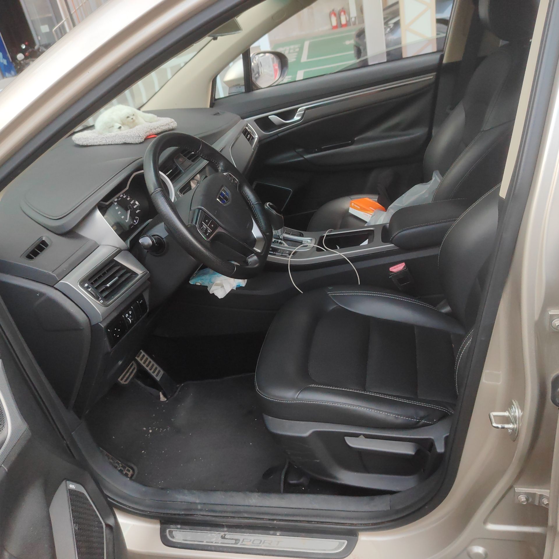 GEELY Emgrand GS 2019 imagen de coche #3