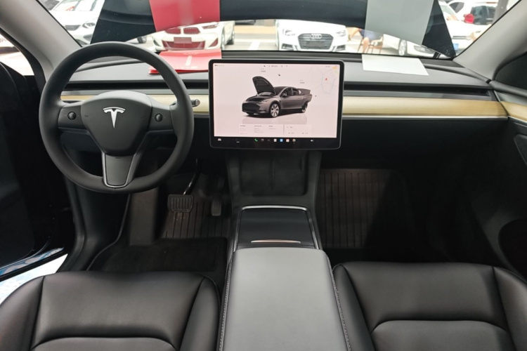 Tesla Model Y 2023 #10 Tesla Model Y 2023 car image #10