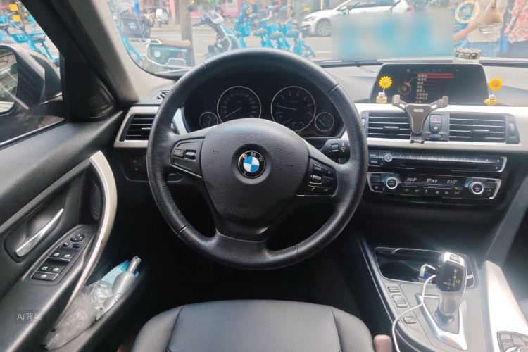 BMW 3 Series 2016 car image #12