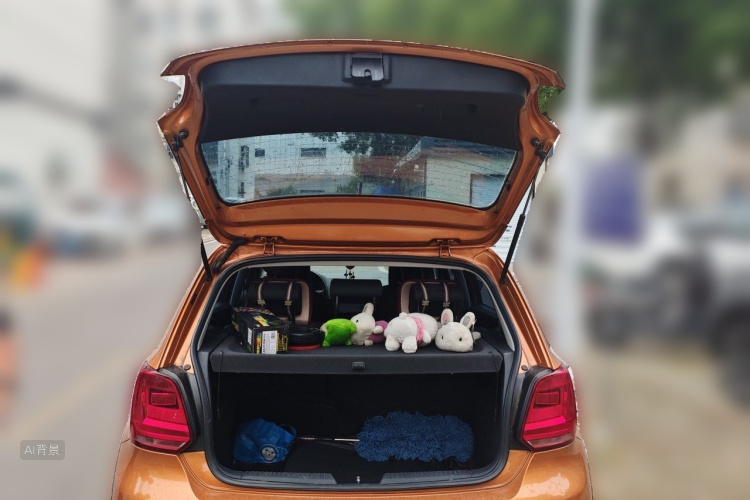 Volkswagen Polo 2015 car image #21
