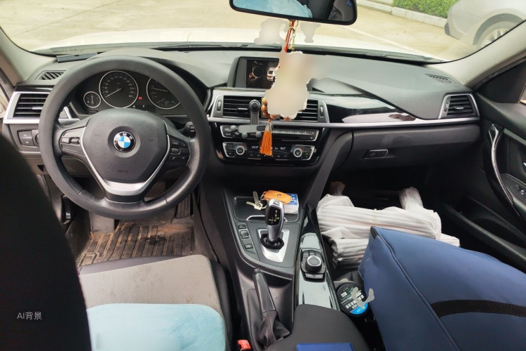 BMW 3 Series 2016 car image #11