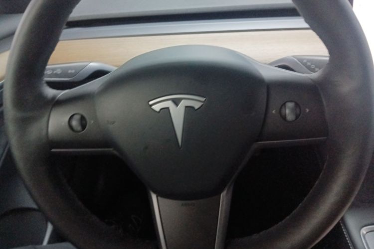 Tesla Model 3 2021 #15 Tesla Model 3 2021 car image #15