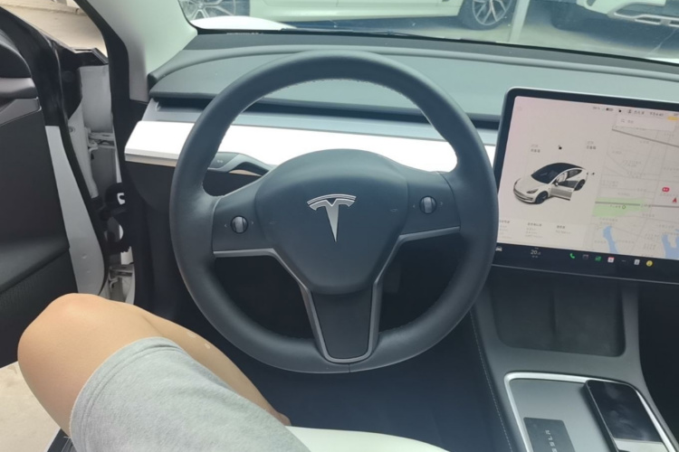 Tesla Model 3 2021 #15 Tesla Model 3 2021 car image #15