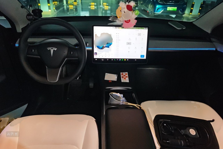 Tesla Model Y 2022 car image #11