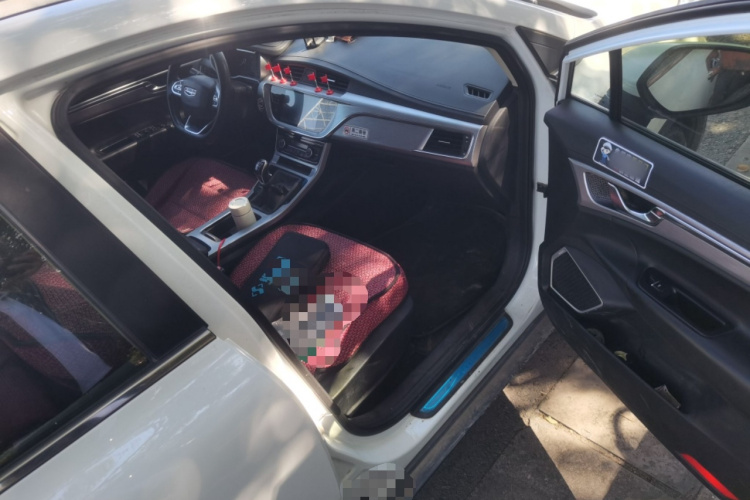 GEELY Emgrand GS 2019 #21 GEELY Emgrand GS 2019 car image #21