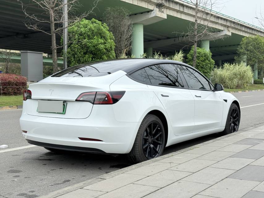 Tesla Model 3 2021 #7 Tesla Model 3 2021 car image #7