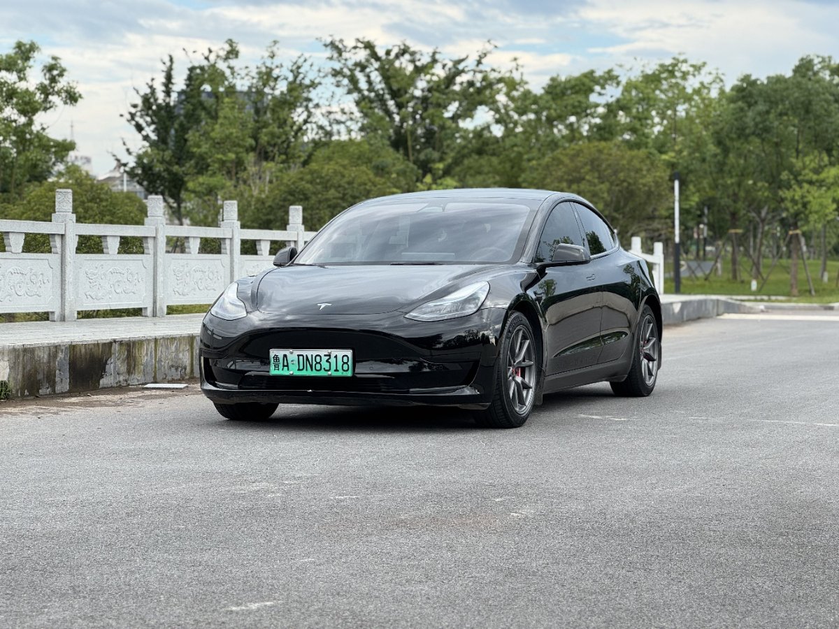 Tesla Model 3 2023 Tesla Model 3 2023 car image