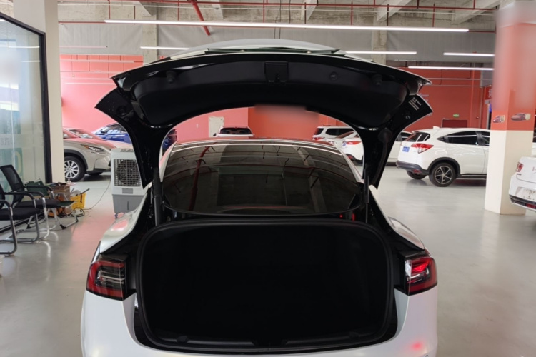 Tesla Model 3 2021 #19 Tesla Model 3 2021 immagine di auto #19