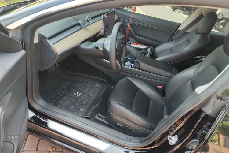Tesla Model 3 2020 car image #18