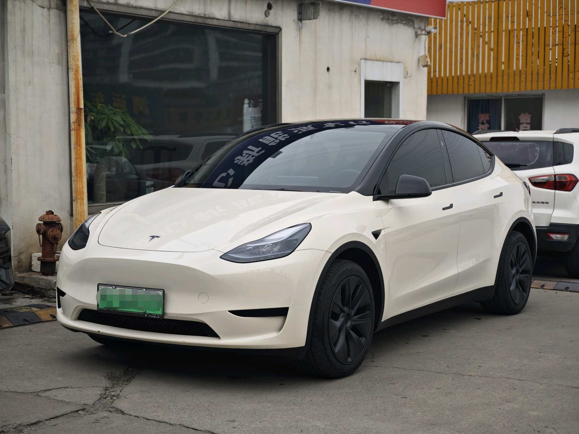 Tesla Model Y 2024 car image 