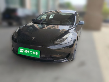 Tesla Model 3 2021 car image 