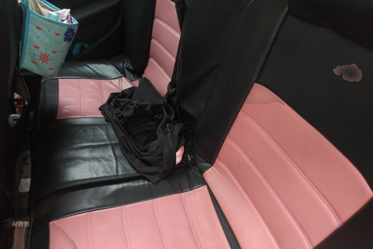 Volkswagen Polo 2015 car image #19