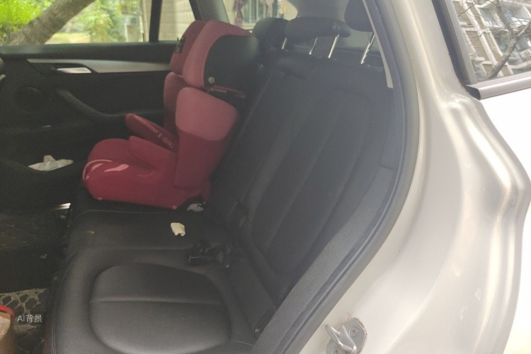 BMW X1 2017 car image #19