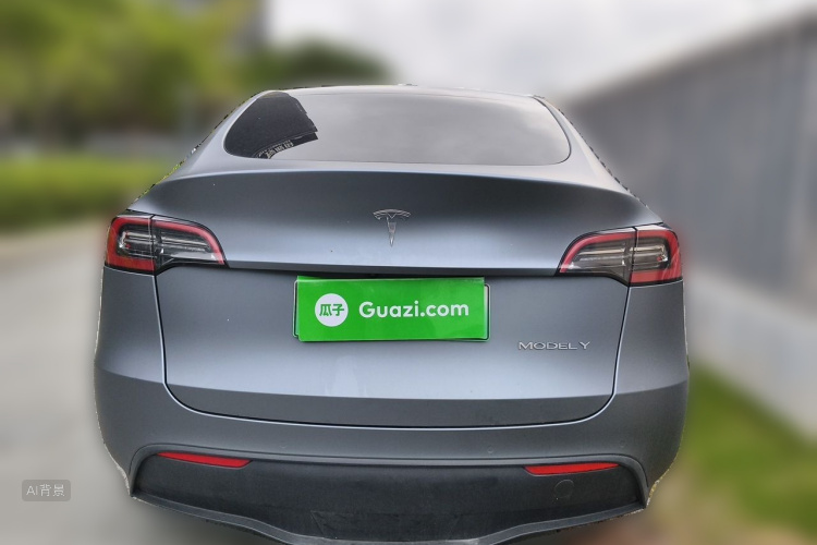 Tesla Model Y 2021 car image #6