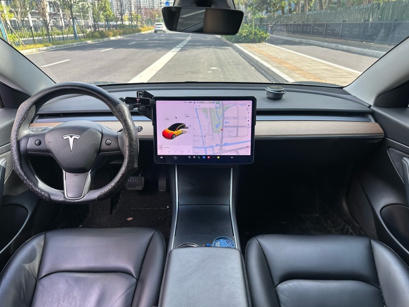 Tesla Model 3 2020 car image #6