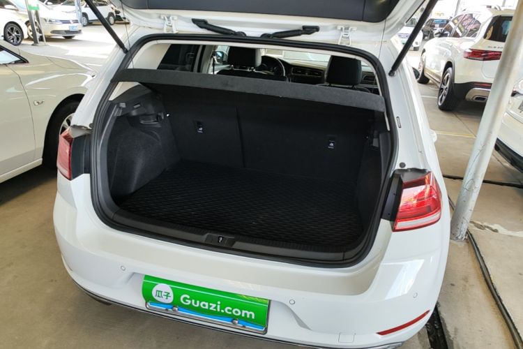 Volkswagen Golf 2019 car image #19