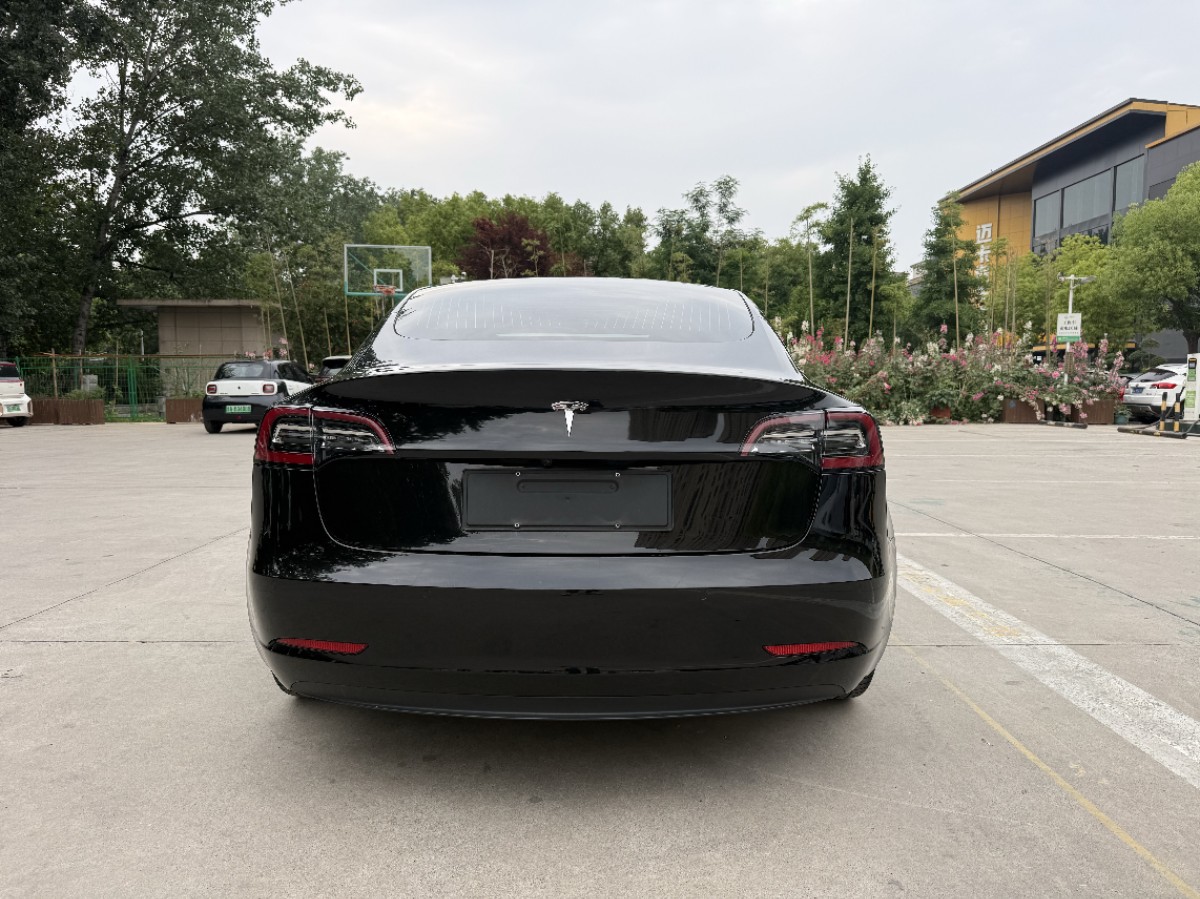Tesla Model 3 2020 #5 Tesla Model 3 2020 car image #5