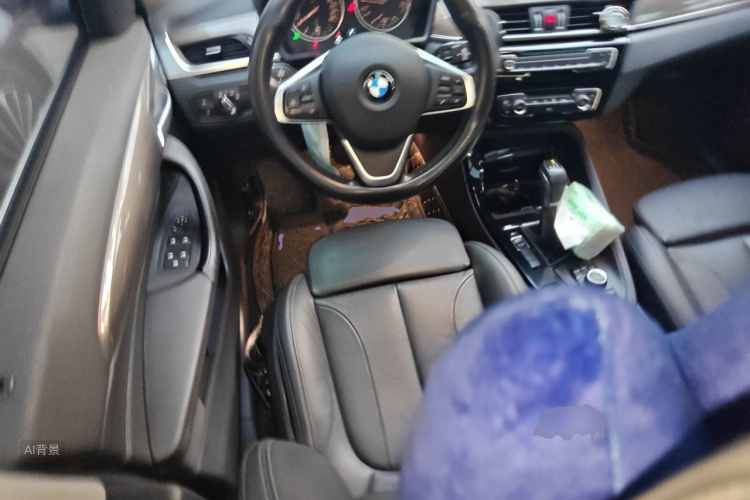 BMW X1 2017 car image #12