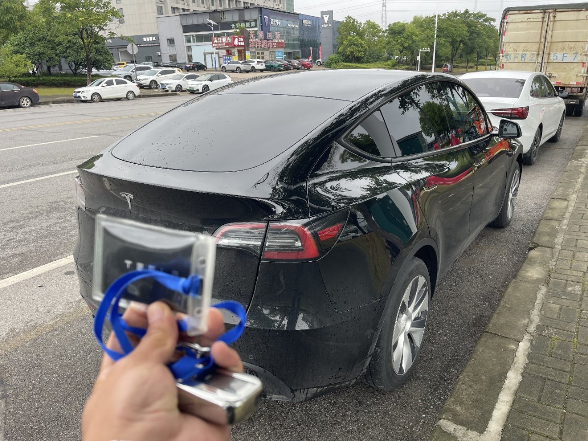 Tesla Model Y 2023 car image #6