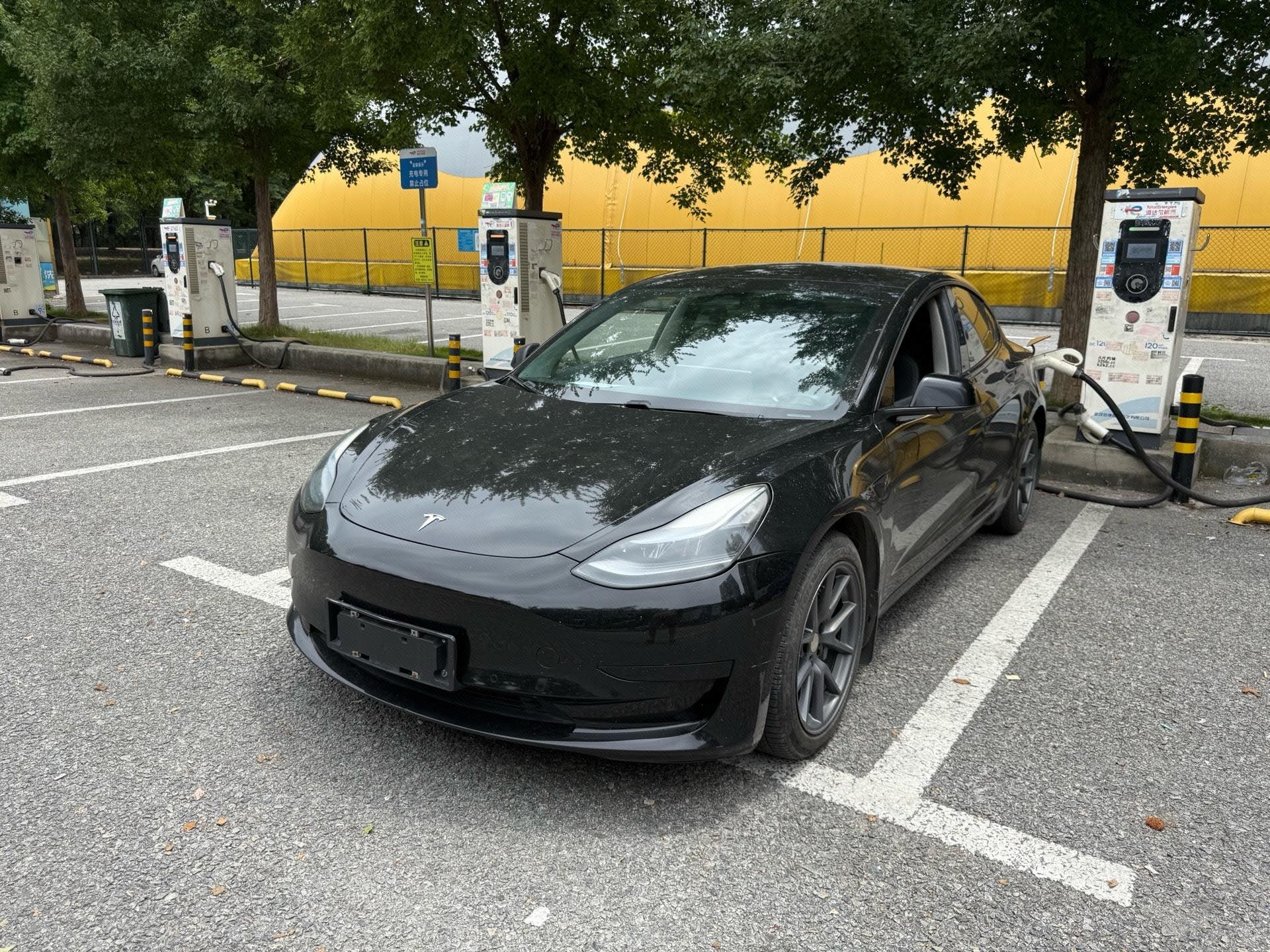 Tesla Model 3 2023 car image 