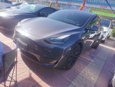 Tesla Model Y 2021 car image 